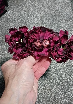 LB1 $12